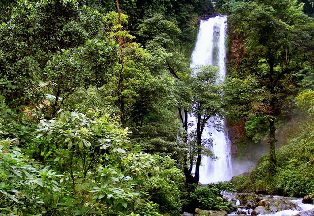 Karang Sari Guesthouse & Warung Munduk Dış mekan fotoğraf